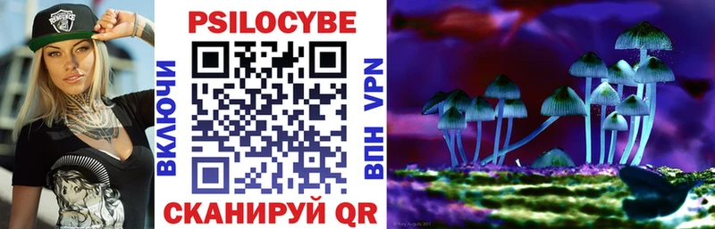 ОМГ ОМГ маркетплейс  что такое   Протвино  Псилоцибиновые грибы Psilocybine cubensis 