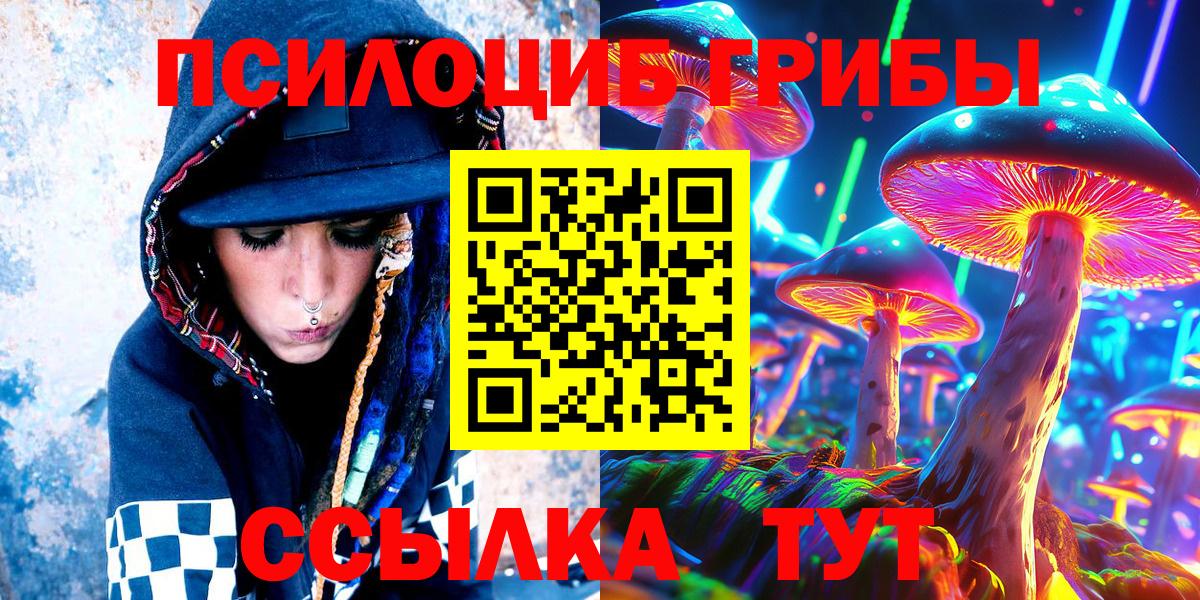 Псилоцибиновые грибы Psilocybine cubensis  Вход с VPN  сколько стоит  Псилоцибиновые грибы GOLDEN TEACHER  Протвино 