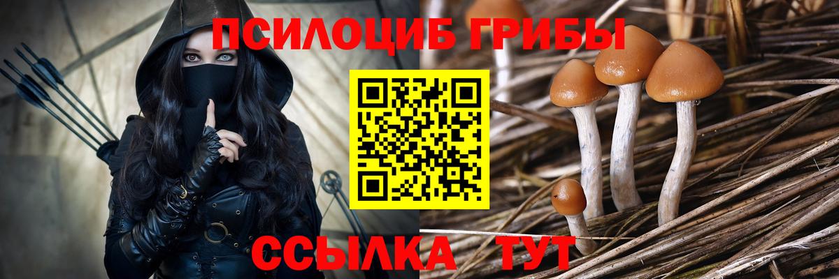 Псилоцибиновые грибы Psilocybine cubensis Протвино